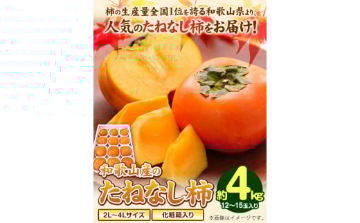 先行予約【秋の味覚】和歌山産のたねなし柿2L～4Lサイズ約4kg（化粧箱入り）厳選館《10月上旬-11月上旬頃出荷》カキかきジューシー---wshg_tmt253_10j11j_25_16000_4kg---