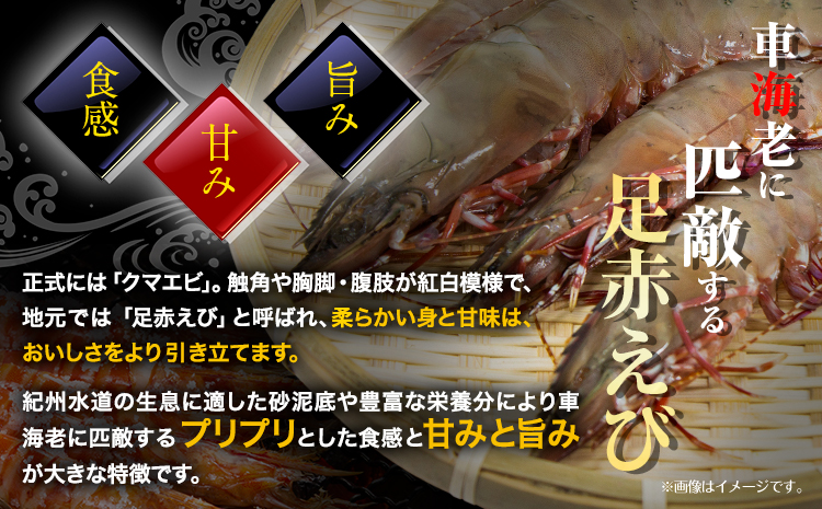 ＜先行予約＞紀州和歌山産天然足赤えび 540g(270g×2パック) 化粧箱入 魚鶴商店《11月上旬-2月上旬頃出荷》和歌山県 日高川町 足赤えび えび エビ---wshg_fuot96_11j2j_24_20000_2p---