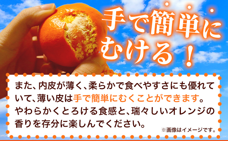 【先行予約】 とろける食感!ジューシー柑橘 せとか 約3kg 株式会社魚鶴《2026年2月下旬-3月下旬頃出荷》 和歌山県 日高川町 みかん 柑橘 果物 フルーツ 送料無料---wshg_uot105_2g3g_25_18000_3kg---