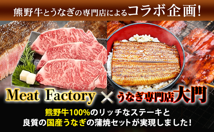 ステーキ 鰻 熊野牛 国産うなぎ 熊野牛ステーキと国産炭火焼鰻の贅沢うな牛セットＢ 計6食 株式会社Meat Factory《30日以内に出荷予定(土日祝除く)》和歌山県 日高川町 ロースステーキ 牛肉 肉 国産 うなぎ 送料無料---wshg_fmfy32_30d_24_65000_3p---