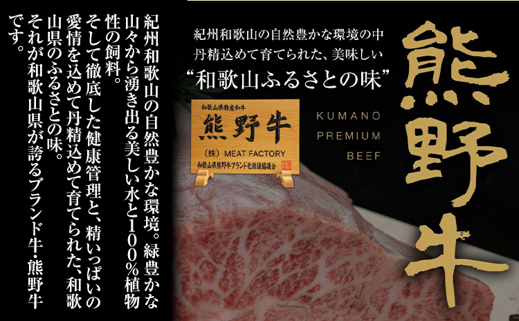 牛肉 熊野牛 メンチカツ 100g 15個入 株式会社Meat Factory《30日以内に出荷予定(土日祝除く)》和歌山県 日高川町 熊野牛 メンチカツ 1500g---wshg_fmfy44_30d_24_13000_15k---
