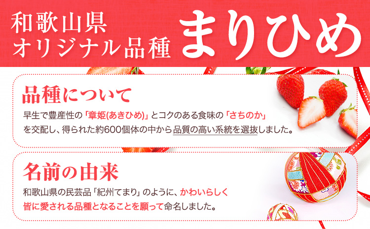 【先行予約】紀州和歌山ブランドいちご「まりひめ」約250g×4パック 約1kg 株式会社魚鶴《2026年3月上旬-3月下旬頃より出荷予定》和歌山県 日高川町 いちご 苺 まりひめ フルーツ 果物 スイーツ 送料無料---wshg_cuot98_3j3g_24_17000_4p---