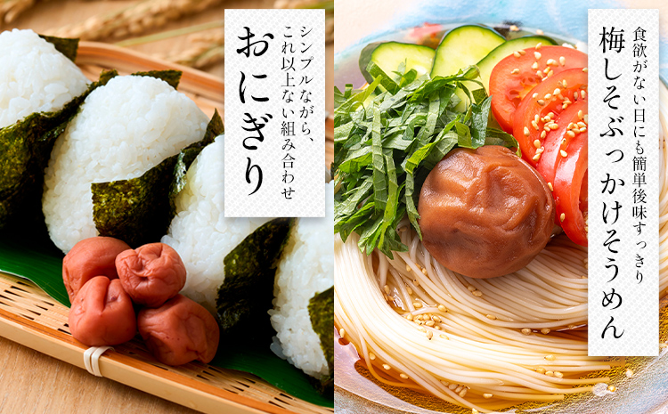 【数量限定！3～7営業日出荷】紀州 南高梅 梅干し はちみつ 1袋 送料無料 メール便 ご家庭用 無選別 《3-7日以内に発送予定(土日祝日除く)》和歌山県 日高川町 しそ梅 はちみつ梅---iwfn_wlocal4_wkd_25_2500_220g---