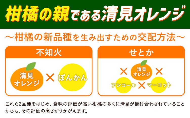 【ご家庭用訳アリ】 紀州有田産清見オレンジ 約7.5kg 株式会社魚鶴商店《2026年3月下旬-4月中旬頃出荷》 和歌山県 日高川町 オレンジ 柑橘 ご家庭用 フルーツ---wshg_uot132_3g4c_25_16000_7500g---