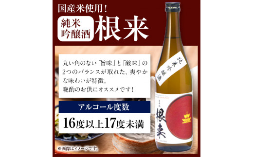 日本城純米大吟醸酒純米吟醸酒根来飲み比べセット720ml×2本セット厳選館《90日以内に出荷予定(土日祝除く)》---wshg_genngjk_90d_22_14000_2p---