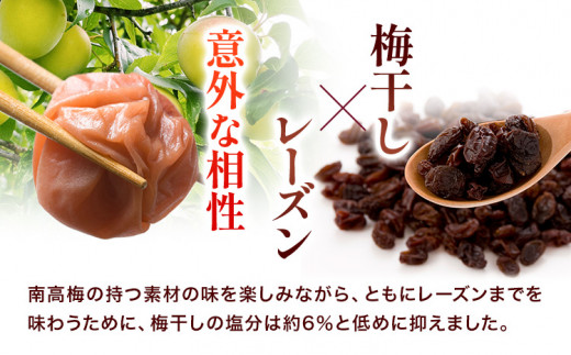 紀州南高梅使用れーずん入り完熟梅干し800g厳選館《90日以内に出荷予定(土日祝除く)》紀州南高梅れーずんレーズン梅干し---wshg_tmt184_90d_24_14000_1p---