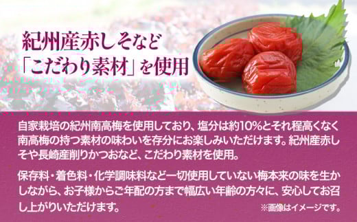 紀州南高梅使用しそ仕込み完熟梅干し800g厳選館《90日以内に出荷予定(土日祝除く)》紀州南高梅梅干ししそ仕込み---wshg_tmt183_90d_24_14000_1p---