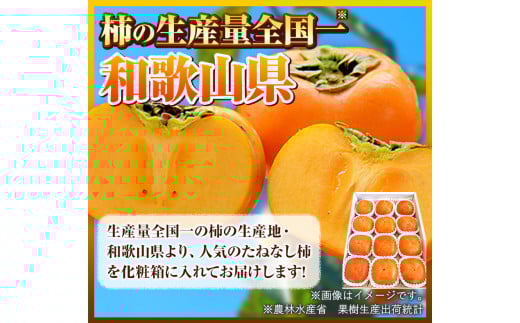 先行予約【秋の味覚】和歌山産のたねなし柿2L～4Lサイズ約4kg（化粧箱入り）厳選館《10月上旬-11月上旬頃出荷》カキかきジューシー---wshg_tmt253_10j11j_25_16000_4kg---