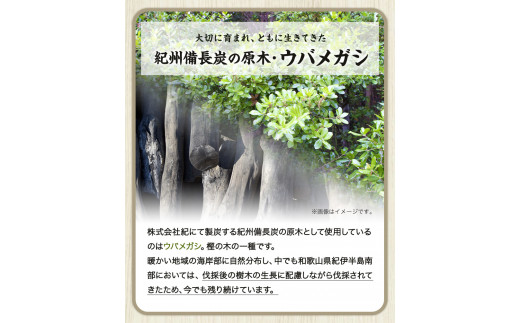 備長炭の木酢液1000ml×10本株式会社紀《30日以内に出荷予定(土日祝除く)》消毒園芸木酢液備長炭炭---wshg_hjm5_30d_23_19000_10p---
