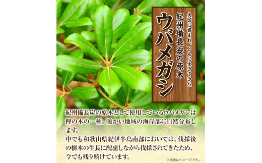 紀州備長炭訳あり約1.5kg望商店《30日以内に出荷予定(土日祝除く)》備長炭紀州備長炭炭約1.5kg高級白炭---wshg_nzm1_30d_23_9000_1500g---