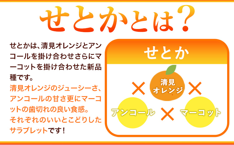 【先行予約】 とろける食感!ジューシー柑橘 せとか 約3kg 株式会社魚鶴《2026年2月下旬-3月下旬頃出荷》 和歌山県 日高川町 みかん 柑橘 果物 フルーツ 送料無料---wshg_uot105_2g3g_25_18000_3kg---