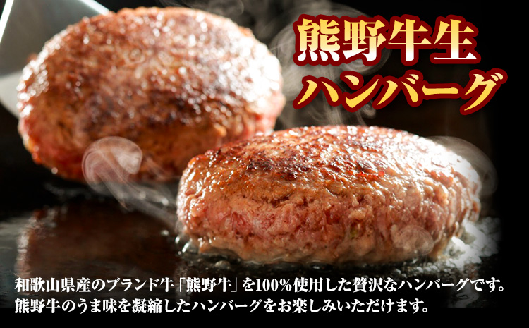 牛肉 熊野牛 惣菜 セット ローストビーフ 生ハンバーグ 株式会社Meat Factory《30日以内に出荷予定(土日祝除く)》和歌山県 日高川町 熊野牛 牛 和牛 惣菜 ハンバーグ---wshg_fmfy46_30d_24_20000_ss---