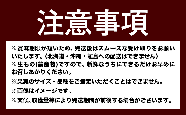 人気フルーツ全3回（7月・9月・11月）定期便 厳選館《7月上旬-11月末頃出荷》和歌山県 日高川町 果物 フルーツ 和歌山の 桃 種なし ピオーネ 有田 みかん 送料無料【配送不可地域あり】{【配送不可地域あり】---wshg_tmttei3_26_43000_7911y3---
