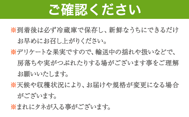 【2026年先行予約】紀州和歌山産 シャインマスカット 約 1kg 魚鶴商店《8月下旬-9月上旬出荷》マスカット 和歌山県 日高川町 贈り物 ギフト ぶどう シャインマスカット---wshg_cuot67_8g9j_24_18000_1kg---