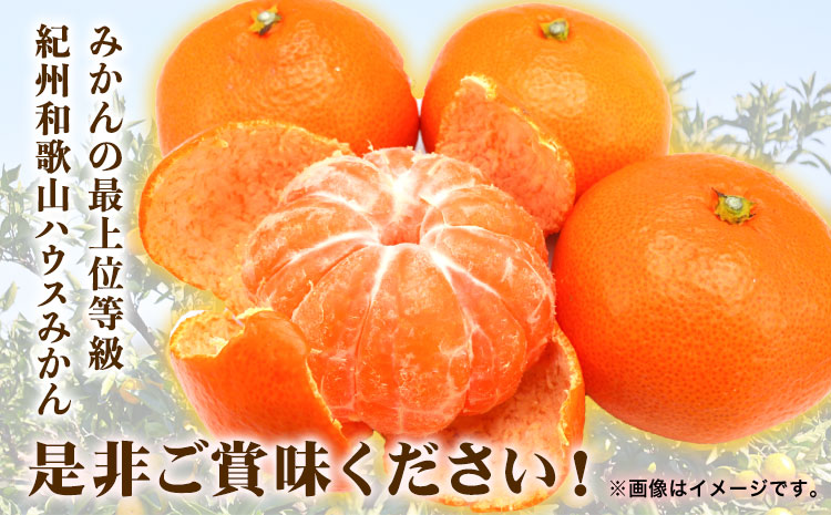 【先行予約】赤秀品 紀州和歌山 ハウス みかん 約2.5kg 株式会社魚鶴商店《2026年6月下旬頃～7月下旬頃出荷》和歌山県 日高川町 みかん ミカン 蜜柑 フルーツ 柑橘---wshg_uot145_6g7g_25_20000_2500g---
