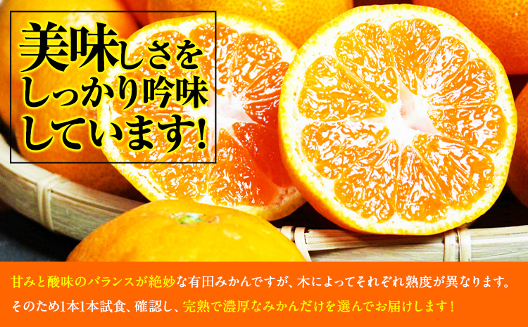 【先行予約】秀品 有田みかん 約2kg 株式会社魚鶴商店《2026年11月下旬-2027年1月下旬頃出荷》和歌山県 日高川町 有田みかん ミカン 蜜柑 フルーツ 柑橘---wshg_uot168_11g1g_25_8000_2kg---