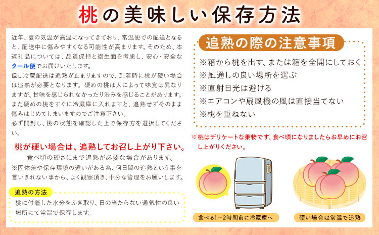 和歌山の桃秀選品約4kg(9～15玉入り)1箱厳選館《2024年6月末-8月下旬出荷》果物フルーツ桃もも---wshg_cgenmm_dk68_22_27000_4kg---｜桃あかつき桃白鳳桃日川白鳳桃八旗白鳳桃桃清水白桃桃川中島白桃つきあかり桃和歌山の桃白桃桃