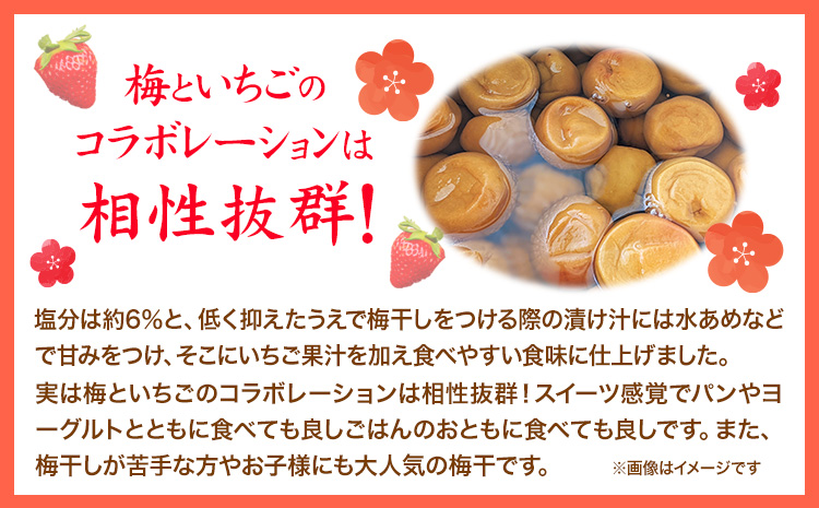 紀州南高梅使用いちご風味完熟梅干し800g厳選館《90日以内に出荷予定(土日祝除く)》紀州南高梅いちご梅干し--wshg_tmt185_90d_24_14000_1p---
