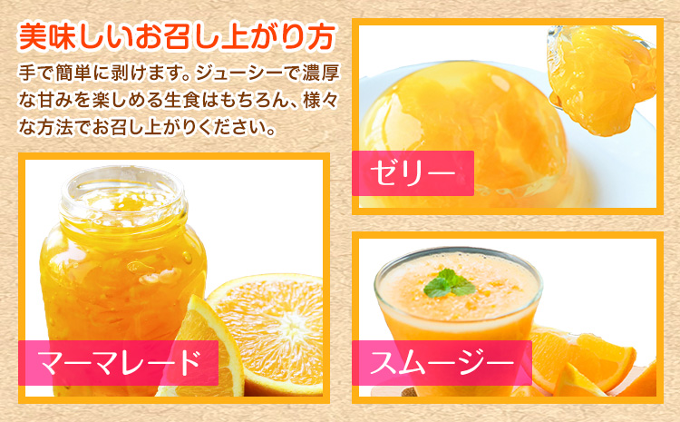 ＜先行予約＞初夏のみかん なつみ 約 3kg 株式会社 魚鶴商店《2026年4中旬-4月下旬頃出荷》 和歌山県 日高川町 みかん なつみ 南津海 柑橘 果物 フルーツ 送料無料---wshg_uot133_4c4g_25_11000_3kg---