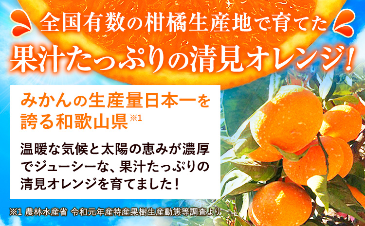 【ご家庭用訳アリ】 紀州有田産清見オレンジ 約7.5kg 株式会社魚鶴商店《2026年3月下旬-4月中旬頃出荷》 和歌山県 日高川町 オレンジ 柑橘 ご家庭用 フルーツ---wshg_uot132_3g4c_25_16000_7500g---