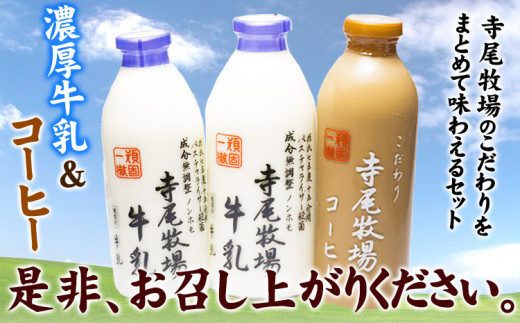 寺尾牧場のこだわり濃厚牛乳（ノンホモ牛乳）とコーヒー3本セット厳選館《90日以内に出荷予定(土日祝除く)》---wshg_ctmt190_90d_24_16000_3p---