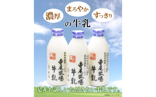 寺尾牧場のこだわり濃厚牛乳（ノンホモ牛乳）3本セット(900ml×3本)厳選館《90日以内に出荷予定(土日祝除く)》---wshg_ctmt188_90d_24_16000_3p---