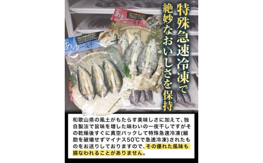 「旨いはずです。」特選あゆ一夜干しセット(13枚入)日高川漁業協同組合《90日以内に出荷予定(土日祝除く)》あゆ鮎魚一夜干し---wshg_fhgtayuh_90d_22_14000_13p---