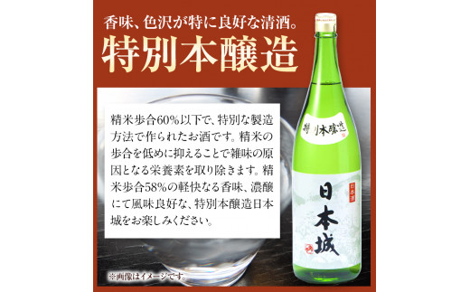 日本城吟醸純米酒と特別本醸造1.8L×2本2種セット厳選館《90日以内に出荷予定(土日祝除く)》酒吟醸純米酒特別飲み比べ3.6L---wshg_genngth_90d_22_21000_2p---