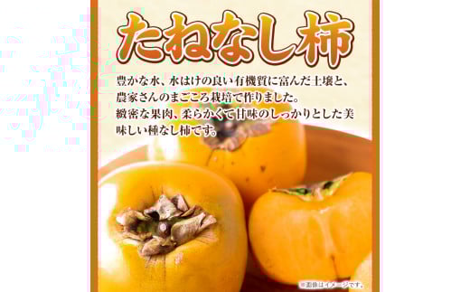先行予約【秋の味覚】和歌山産のたねなし柿2L～4Lサイズ約4kg（化粧箱入り）厳選館《10月上旬-11月上旬頃出荷》カキかきジューシー---wshg_tmt253_10j11j_25_16000_4kg---