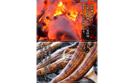 紀州備長炭馬目小丸約5kg株式会社紀《30日以内に出荷予定(土日祝除く)》備長炭炭プロの料理人愛用---wshg_hjm1_30d_23_28000_5kg---｜備長炭備長炭備長炭備長炭備長炭備長炭備長炭