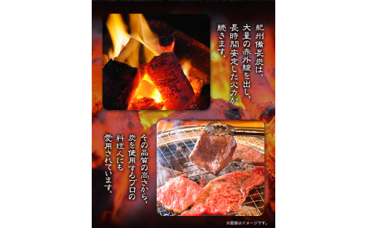 紀州備長炭荒並約15kg望商店《30日以内に出荷予定(土日祝除く)》備長炭紀州備長炭炭約15kg高級白炭---wshg_nzm5_30d_23_55000_15kg---