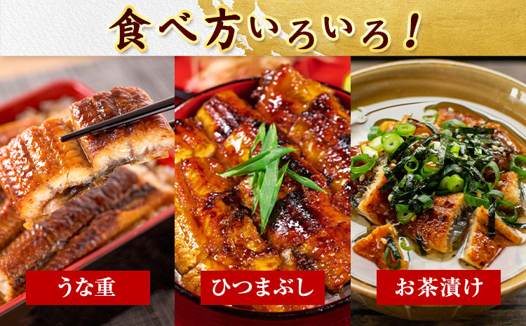 大型サイズ ふっくら柔らか国産 うなぎ 蒲焼き 2尾 化粧箱入(真空パック入) 株式会社魚鶴《30日以内に出荷予定(土日祝除く)》 和歌山県 日高川町 うなぎ 鰻 ギフト 贈り物---wshg_fuot2_30d_24_21000_2b---