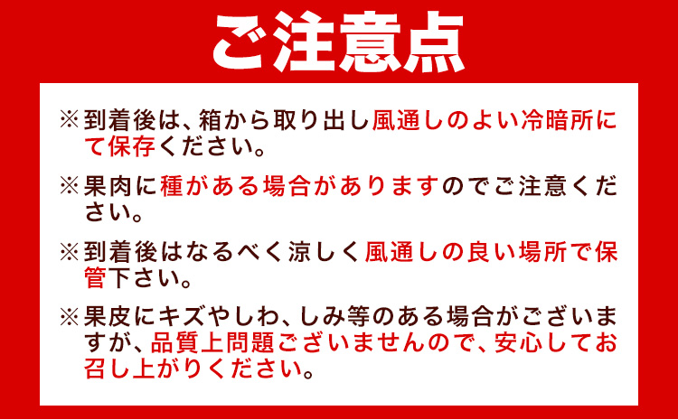 【先行予約】 とろける食感!ジューシー柑橘 せとか 約3kg 株式会社魚鶴《2026年2月下旬-3月下旬頃出荷》 和歌山県 日高川町 みかん 柑橘 果物 フルーツ 送料無料---wshg_uot105_2g3g_25_18000_3kg---