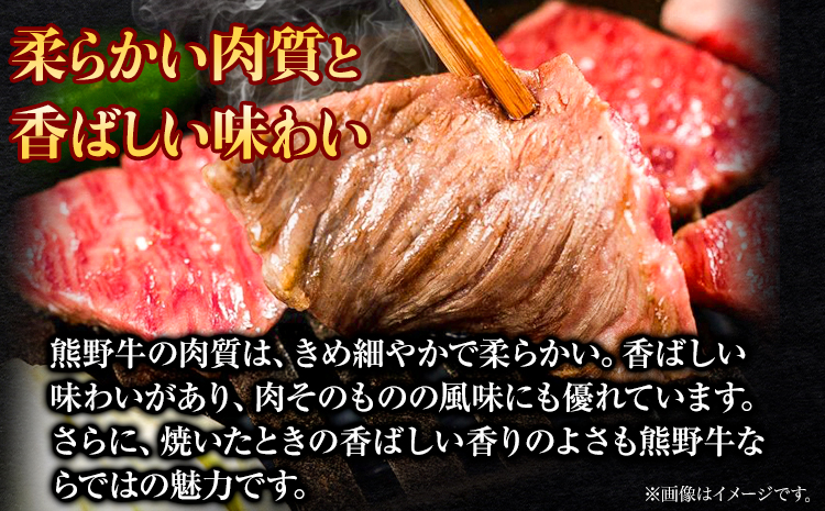 牛肉 熊野牛 赤身ステーキ 約800g(約200g×4枚) 株式会社Meat Factory《30日以内に出荷予定(土日祝除く)》和歌山県 日高川町 熊野牛 黒毛和牛 赤身 ステーキ 肉 牛肉 和牛 国産 送料無料---wshg_fmfy14_30d_24_27000_800g---