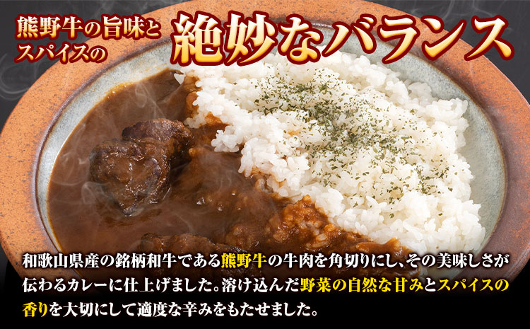 牛肉 熊野牛 カレー 5食セット 株式会社Meat Factory《30日以内に出荷予定(土日祝除く)》和歌山県 日高川町 熊野牛 牛 和牛 焼肉 希少部位 ミスジ 焼肉---wshg_mfy38_30d_24_14000_5p---