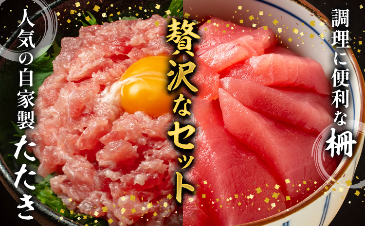 まぐろ 那智勝浦直送 天然もちもち生ビン長まぐろとまぐろたたきセット 4人前 株式会社魚鶴《30日以内に出荷予定(土日祝除く)》和歌山県 日高川町 まぐろ 魚 マグロ たたき ねぎとろ 海鮮 鮪 魚介 さかな ビン長 ビン長まぐろ---wshg_cuot71_30d_24_20000_4set---