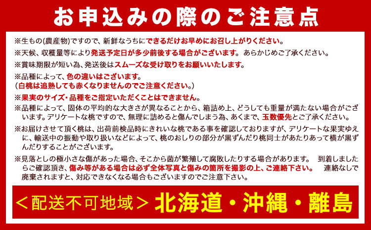 和歌山の桃秀選品約4kg(9～15玉入り)1箱厳選館《2024年6月末-8月下旬出荷》果物フルーツ桃もも---wshg_cgenmm_dk68_22_27000_4kg---｜桃あかつき桃白鳳桃日川白鳳桃八旗白鳳桃桃清水白桃桃川中島白桃つきあかり桃和歌山の桃白桃桃