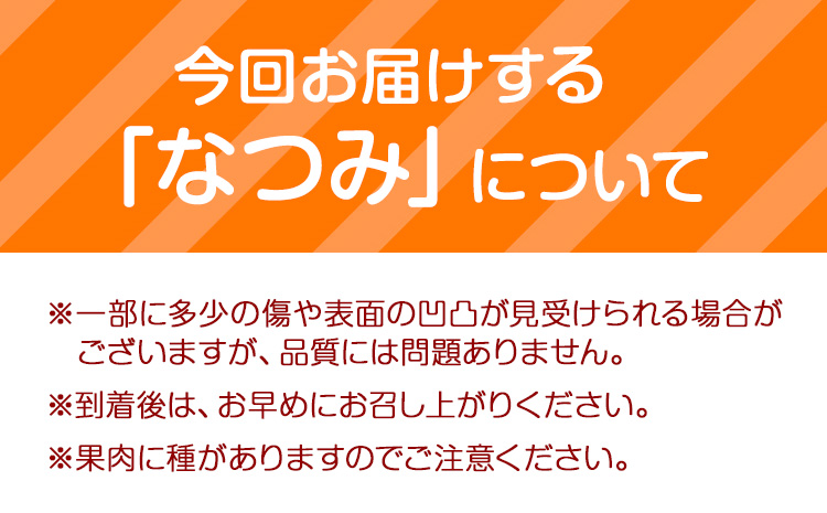 ＜先行予約＞初夏のみかん なつみ 約 3kg 株式会社 魚鶴商店《2026年4中旬-4月下旬頃出荷》 和歌山県 日高川町 みかん なつみ 南津海 柑橘 果物 フルーツ 送料無料---wshg_uot133_4c4g_25_11000_3kg---