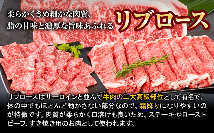 牛肉 熊野牛 リブロース 焼肉 用 500g 株式会社Meat Factory《30日以内に出荷予定(土日祝除く)》和歌山県 日高川町 送料無料 国産 牛肉 肉 黒毛和牛 リブ ロース 焼肉用 焼き肉 お取り寄せグルメ---wshg_fmfy55_30d_24_24000_500g---