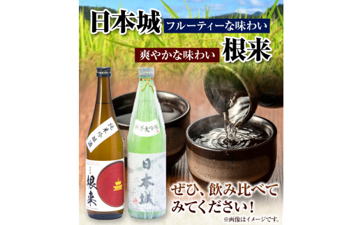 日本城純米大吟醸酒純米吟醸酒根来飲み比べセット720ml×2本セット厳選館《90日以内に出荷予定(土日祝除く)》---wshg_genngjk_90d_22_14000_2p---