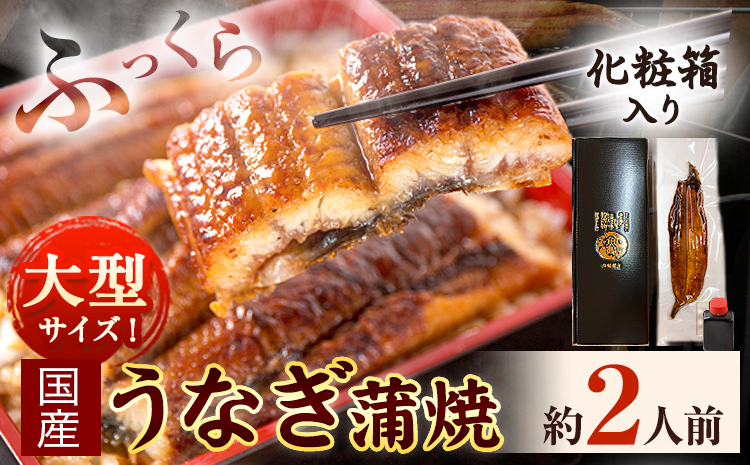 大型サイズ ふっくら柔らか国産 うなぎ 蒲焼き 1尾 化粧箱入(真空パック入) 株式会社魚鶴商店《30日以内に出荷予定(土日祝除く)》 和歌山県 日高川町 うなぎ 鰻 ギフト 贈り物---wshg_fuot1_30d_24_13000_2h---