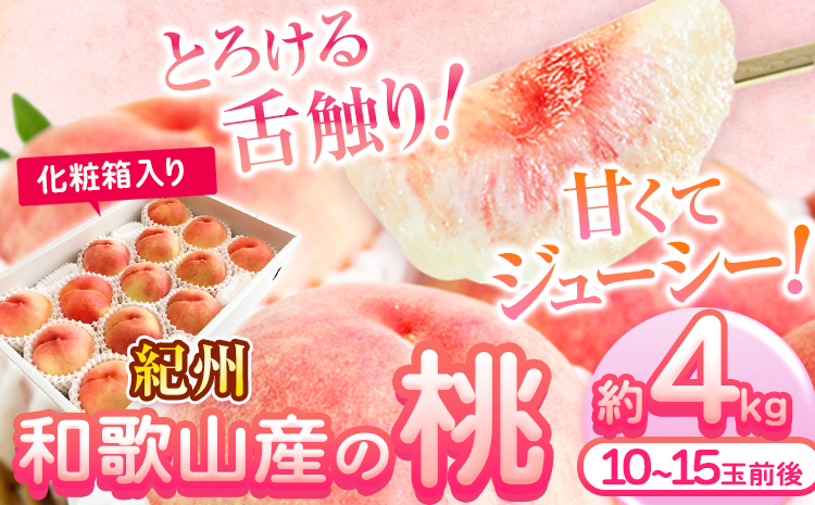 【先行予約】桃 もも 紀州 和歌山産 の 桃 4kg 化粧箱入 魚鶴商店《2026年6月下旬-8月上旬より発送予定》  和歌山県 日高川町 贈り物 ギフト---wshg_cuot150_6g8j_25_26000_4kg---