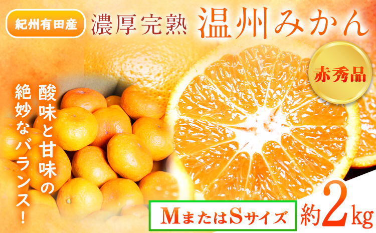 【先行予約】赤秀品 紀州有田産 濃厚完熟温州みかん 2kg (MサイズまたはSサイズ) 魚鶴商店《2026年11月下旬-2027年1月下旬頃出荷》和歌山県 日高川町 みかん ミカン 蜜柑 フルーツ 柑橘---wshg_uot171_11g1g_25_8000_2kg---