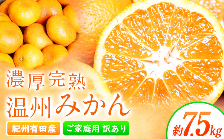 【先行予約】【ご家庭用訳アリ】 紀州有田産 濃厚完熟温州みかん 約7.5kg 魚鶴商店《2026年11月下旬-2027年1月下旬頃出荷》 和歌山県 日高川町 みかん 温州みかん 完熟 濃厚 柑橘 ご家庭用---wshg_uot173_11g1g_25_15000_7500g---