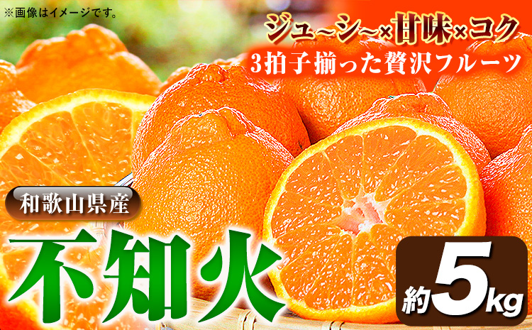 【先行予約】紀州有田産不知火( デコポン と同品種 ) 約 5kg 株式会社魚鶴《2026年2月中旬-3月中旬頃出荷》 和歌山県 日高川町 不知火 しらぬい 柑橘 ご家庭用 デコポン でこぽん しらぬい 訳ありデコポン---wshg_uot109_2c3c_25_14000_5kg---