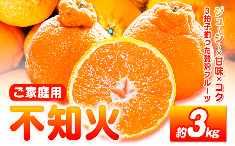 【先行予約】【ご家庭用】紀州有田産 不知火 ( しらぬひ )  約3kg 株式会社魚鶴 《2026年2月中旬-3月中旬頃出荷》 和歌山県 日高川町 不知火 みかん 柑橘 果物 フルーツ デコポン と同品種 でこぽん 訳あり不知火 訳ありデコポン 訳あり---wshg_uot110_2c3c_25_9000_3kg---