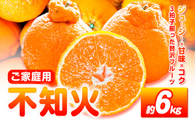 【先行予約】【ご家庭用】紀州有田産 不知火 ( しらぬひ )  約6kg 株式会社魚鶴 《2026年2月中旬-3月中旬頃出荷》 和歌山県 日高川町 不知火 みかん 柑橘 果物 フルーツ デコポン と同品種 でこぽん 訳あり不知火 訳ありデコポン 訳あり---wshg_uot111_2c3c_25_14000_6kg---