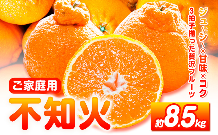 【先行予約】【ご家庭用】紀州有田産 不知火 ( しらぬひ )  約8.5kg 株式会社魚鶴 《2026年2月中旬-3月中旬頃出荷》 和歌山県 日高川町 不知火 みかん 柑橘 果物 フルーツ デコポン と同品種 でこぽん 訳あり不知火 訳ありデコポン 訳あり---wshg_uot112_2c3c_25_19000_85---