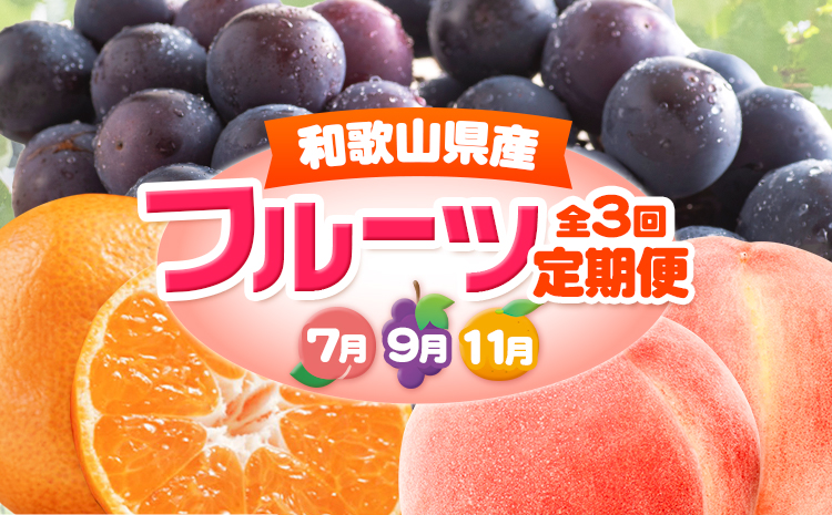 人気フルーツ全3回（7月・9月・11月）定期便 厳選館《7月上旬-11月末頃出荷》和歌山県 日高川町 果物 フルーツ 和歌山の 桃 種なし ピオーネ 有田 みかん 送料無料【配送不可地域あり】{【配送不可地域あり】---wshg_tmttei3_26_43000_7911y3---
