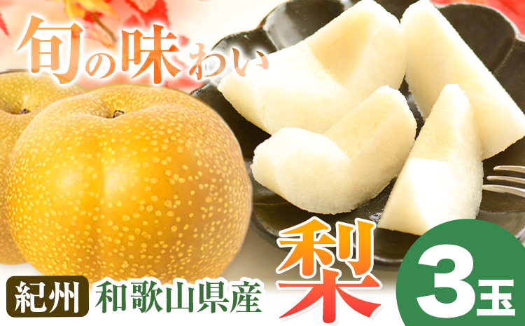 【2026年先行予約】紀州和歌山県産の梨 3玉 化粧箱入 魚鶴商店《8月中旬-9月上旬出荷》和歌山県 日高川町 和歌山県産 梨 なし ナシ 贈り物 ギフト---wshg_uot66_8c9j_24_10000_3t